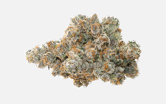 Platinum Lemon