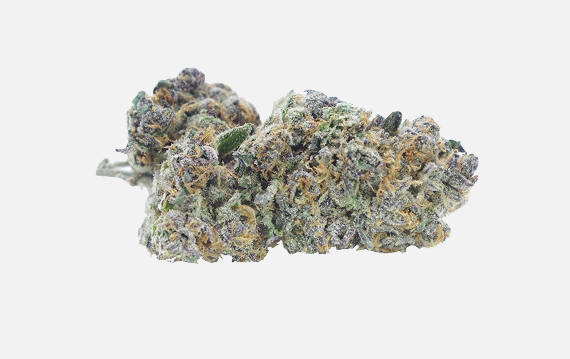 Purple Sour Diesel